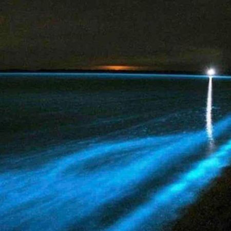 Knus Vakantiehuis 100M Van Het Strand Callantsoog Ngoại thất bức ảnh