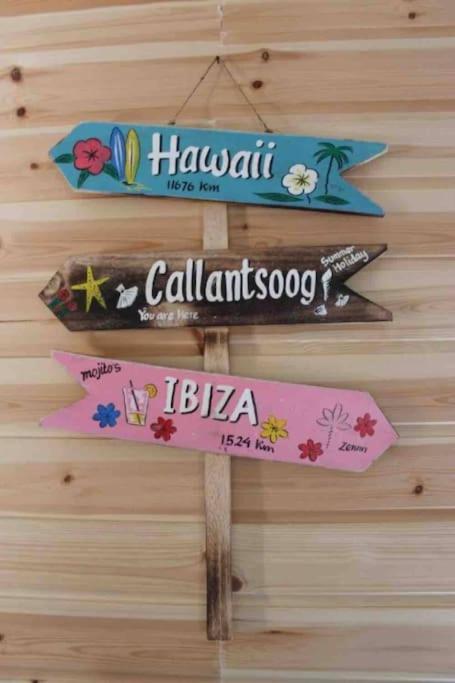 Knus Vakantiehuis 100M Van Het Strand Callantsoog Ngoại thất bức ảnh